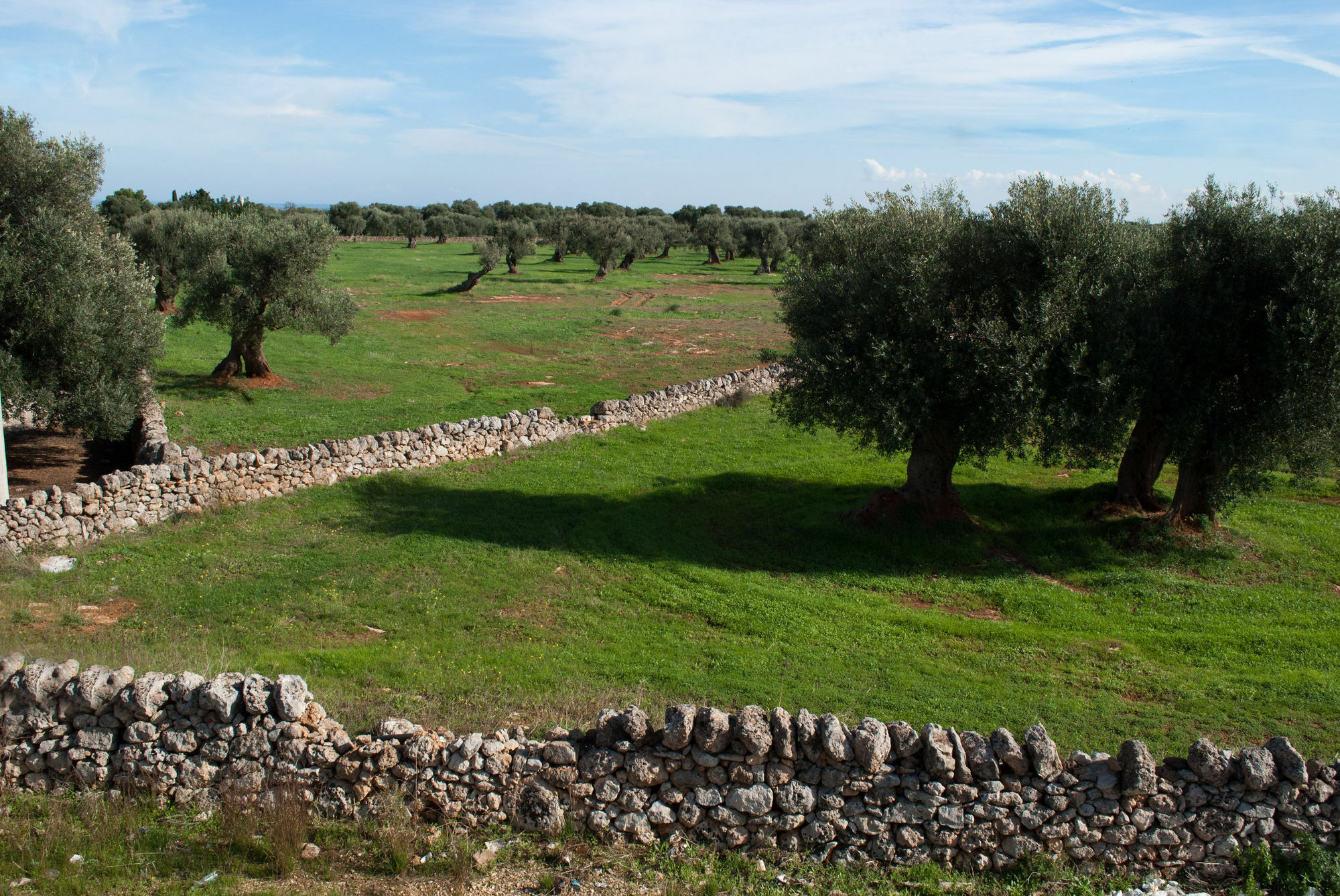 Masseria Lama D'impisa Fasano Bagian luar foto